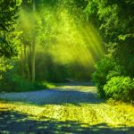 HSPの人はどのように生活するといい?