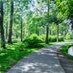 不安を解消するには森林浴が有効？体験談